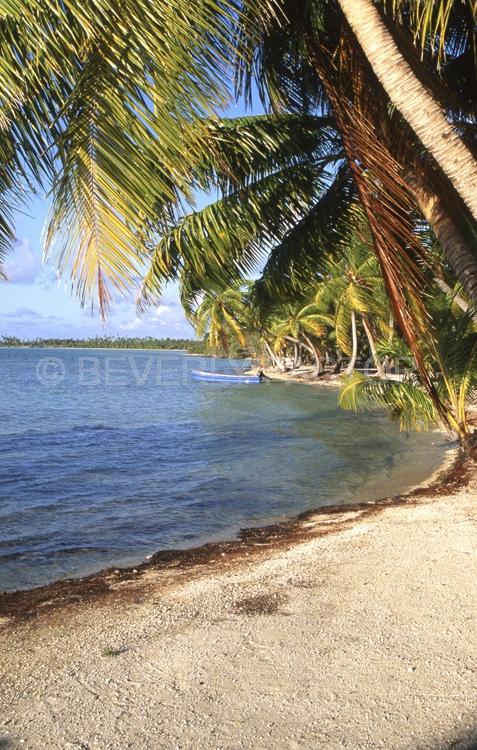 Islands;boat;manihi;french polynesia;water;sand;palm trees